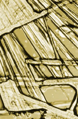 Crystalin Structure